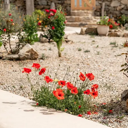 Honey Bee House Lägenhet *