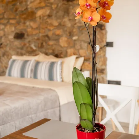 Apartmán Honey Bee House *