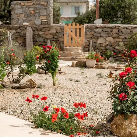 Honey Bee House Διαμέρισμα Mykonos Town
