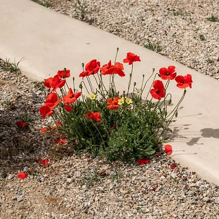 Διαμέρισμα Honey Bee House Mykonos Town