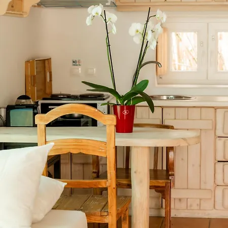 Honey Bee House Daire *