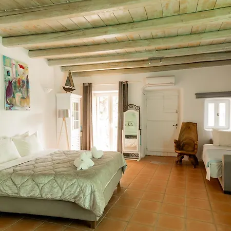 公寓 Honey Bee House Mykonos Town