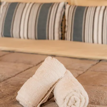 Daire Honey Bee House