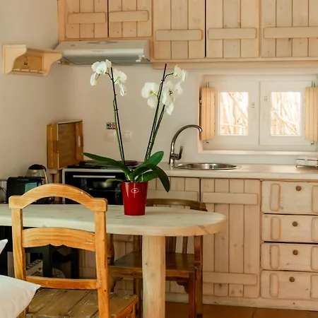 Honey Bee House Appartement *