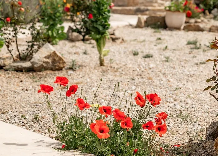 Honey Bee House Διαμέρισμα *