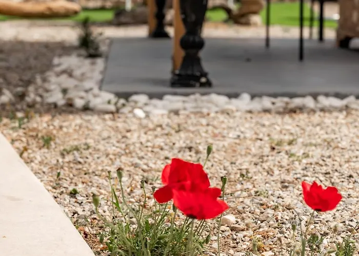 Honey Bee House Apartamento