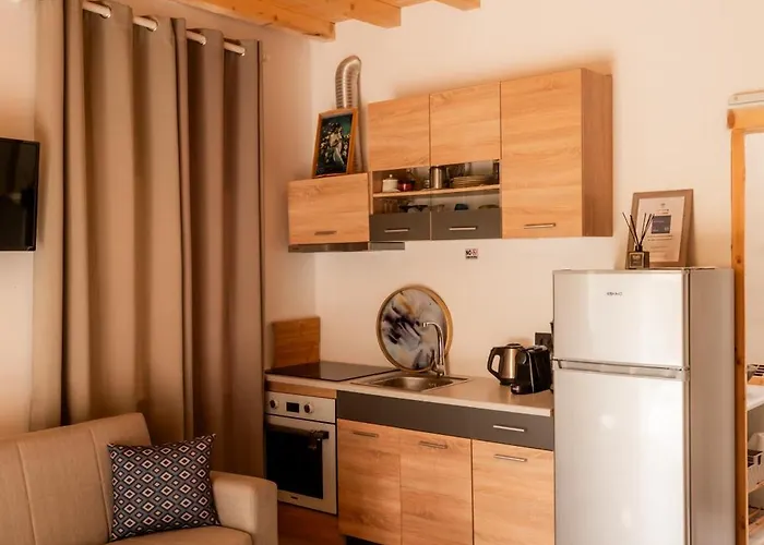 公寓 Honey Bee House Mykonos Town