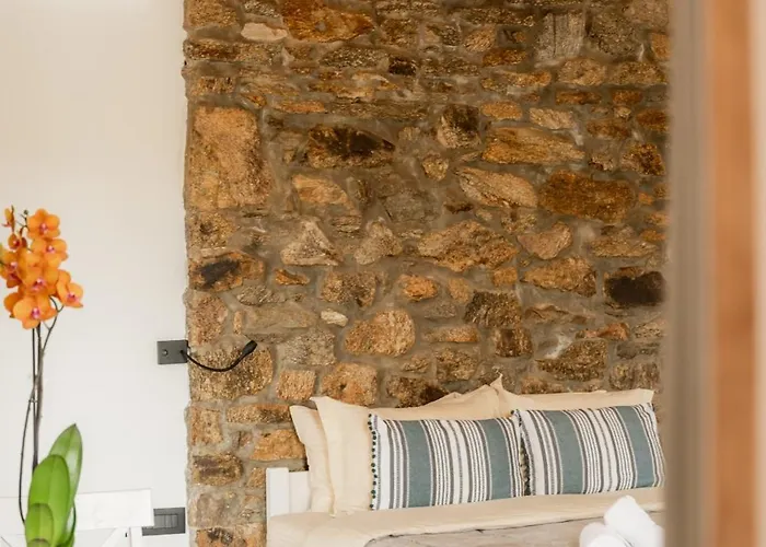 公寓 Honey Bee House Mykonos Town